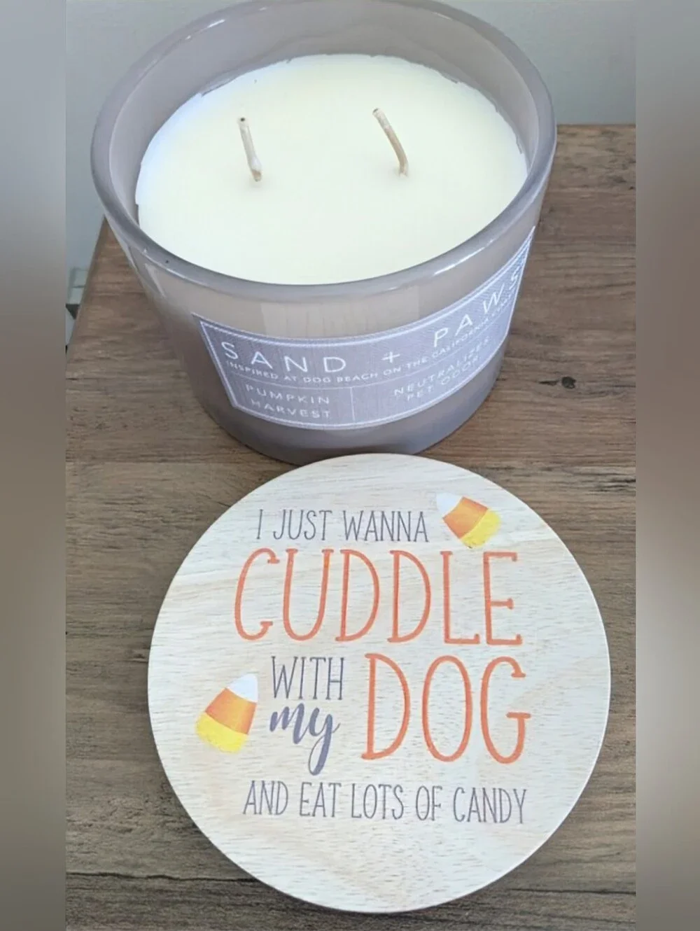 Sand + Paws Pumpkin Harvest 12 oz scented candle